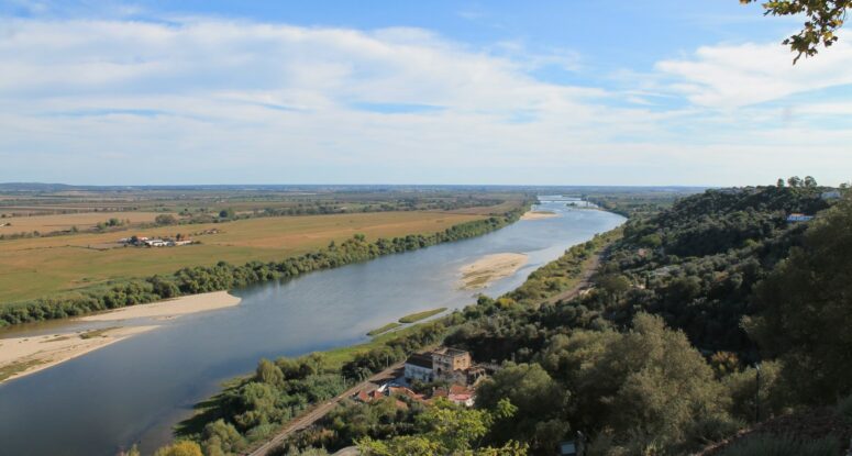 tejo regiao vitivinicola