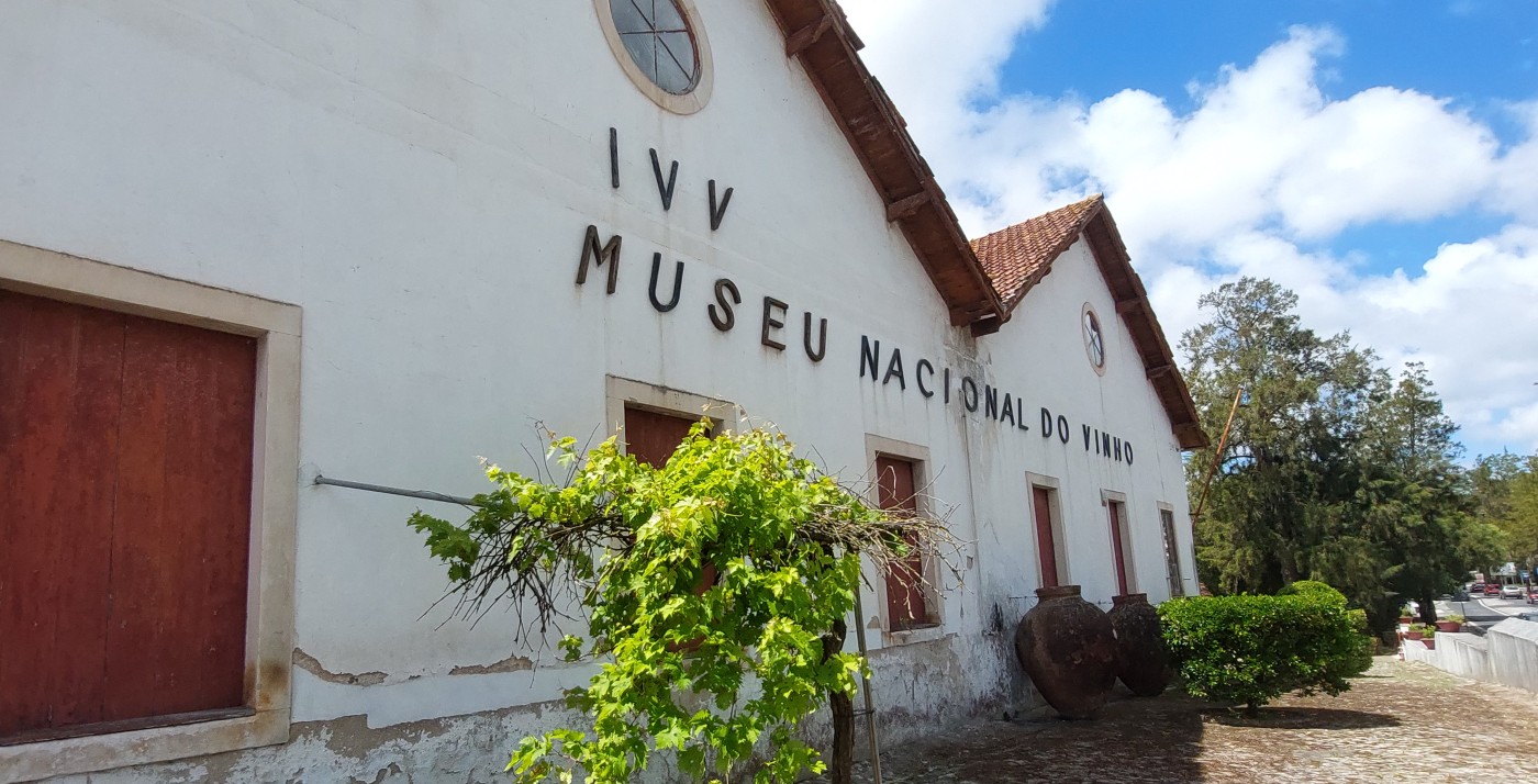 museu alcobaca 02