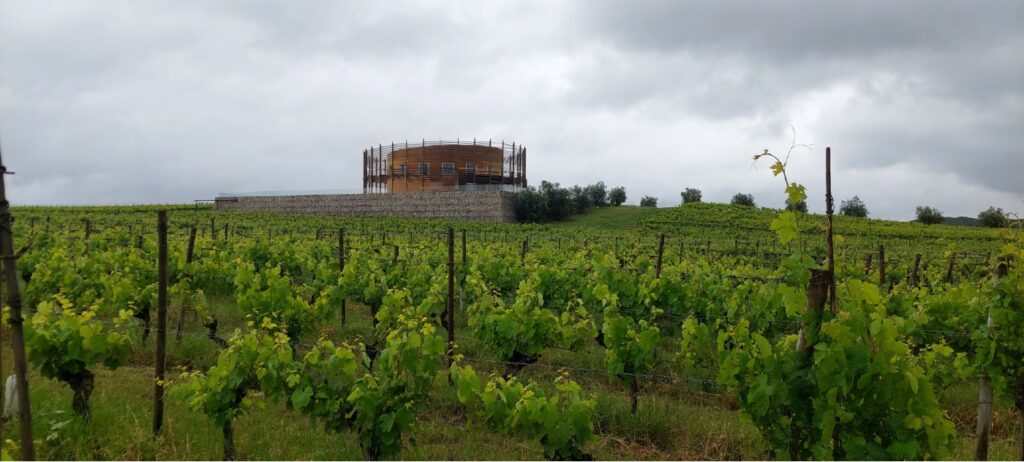 vinho bairrada 1400 0505