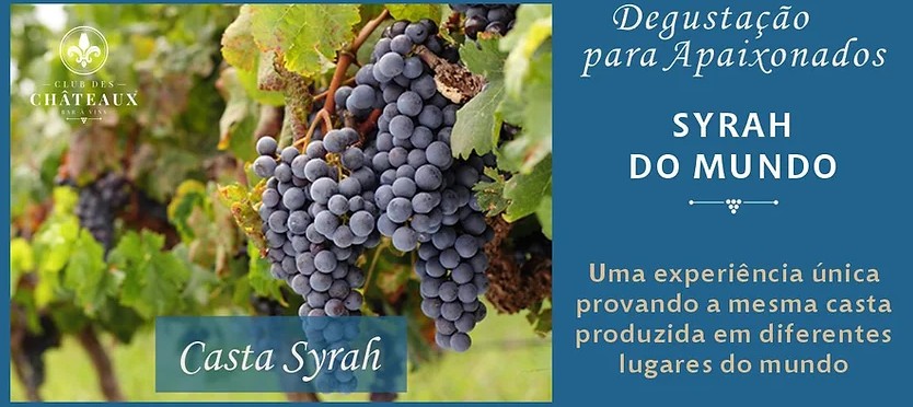 syrah do mundo