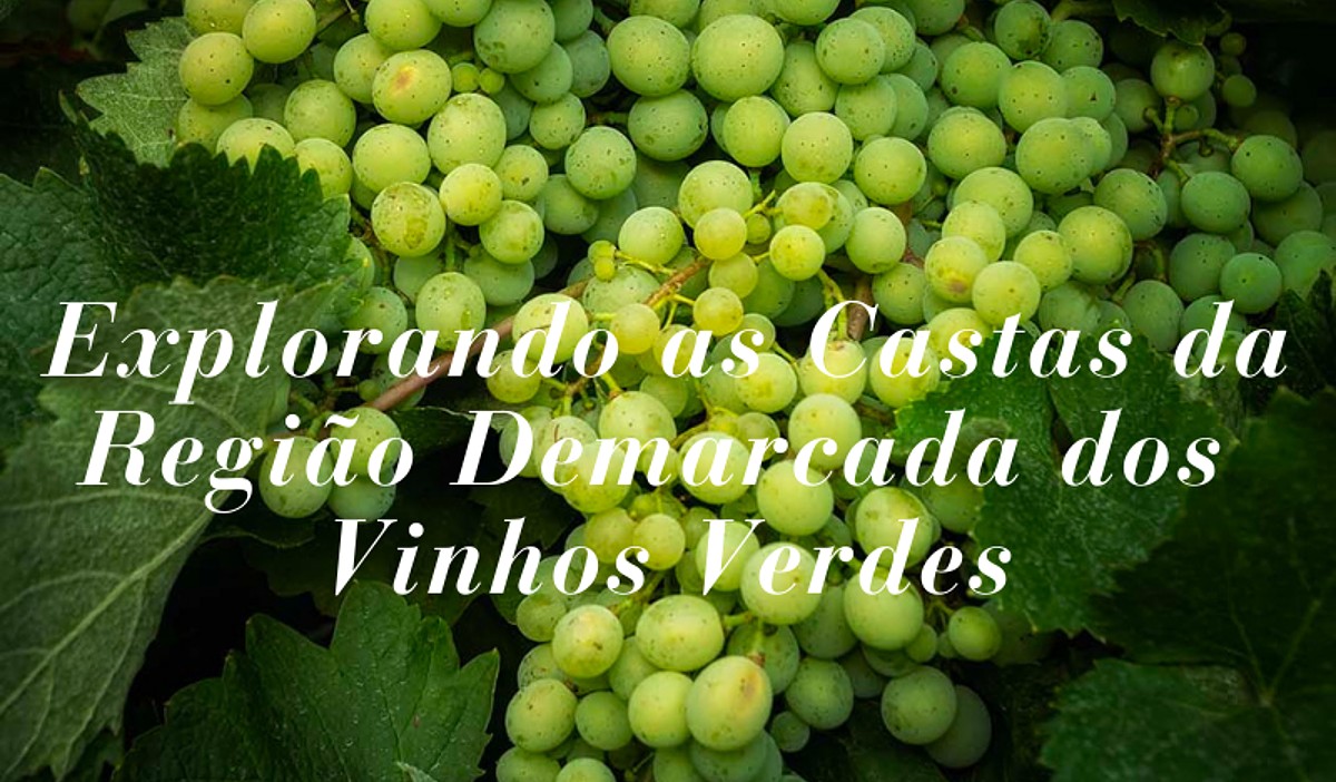 curso vinho verde 1310