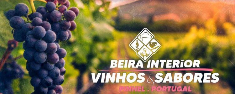 beira interior pinhel 2024