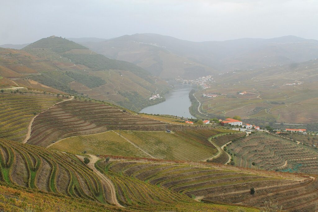 douro superior