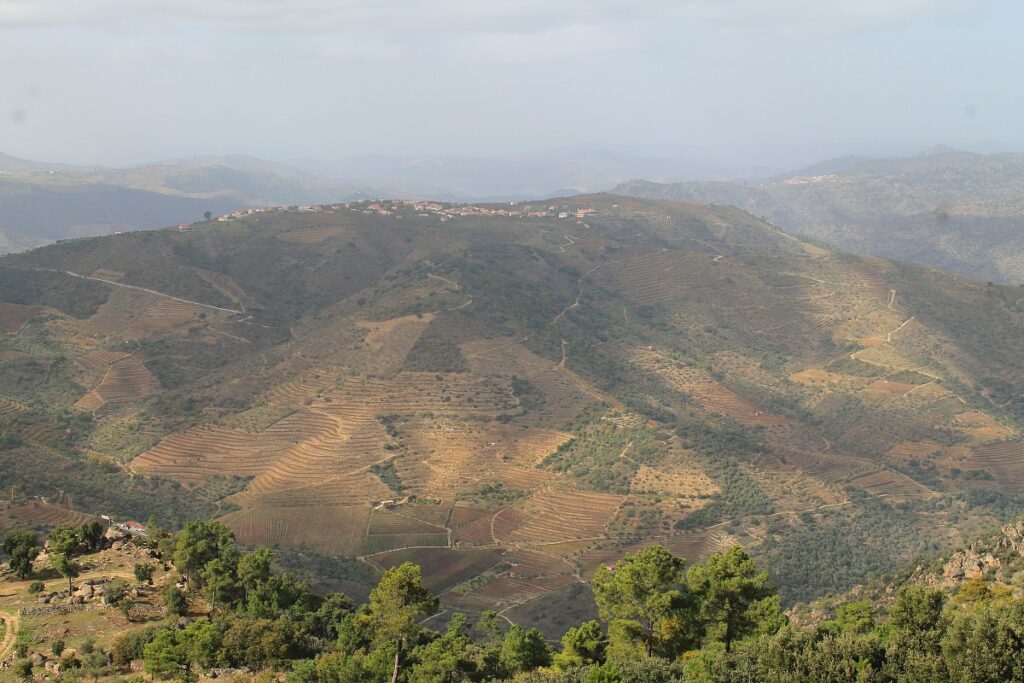 douro superior vista