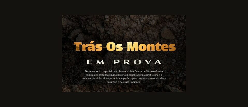 tras os montes prova porto 1