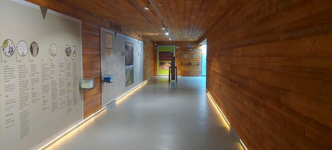 museu do vinho de sao joao da pesqueira sala