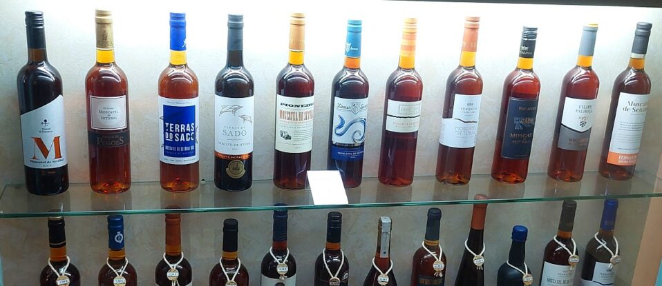 moscatel do setubal vinho