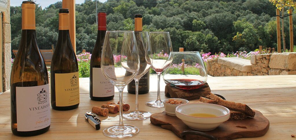 vinho prova 1200