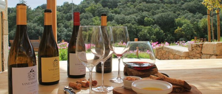 vinho portugues 1200