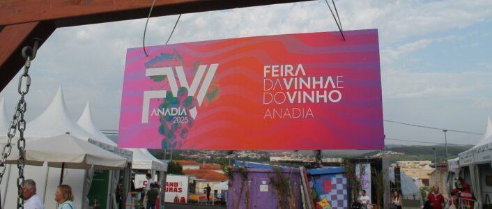anadia feira do vinho bairrada