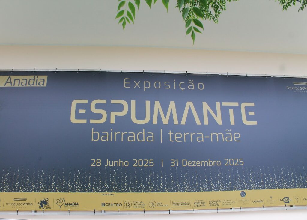 espumante da bairrada 1200 2