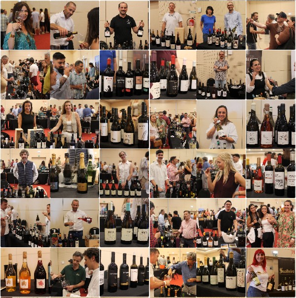 figueira wine fest 2025 pictogram