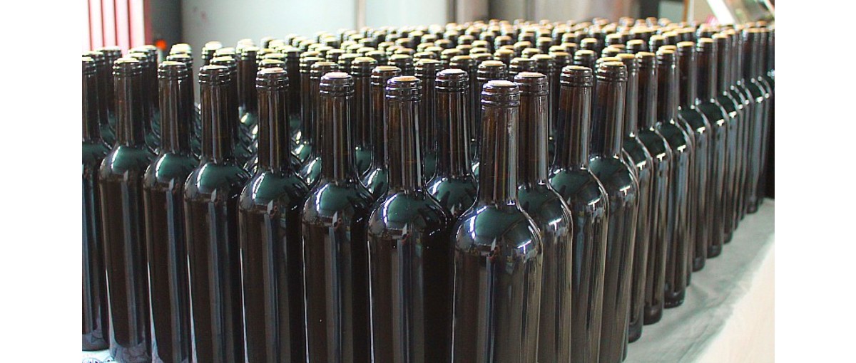 asae 08072025