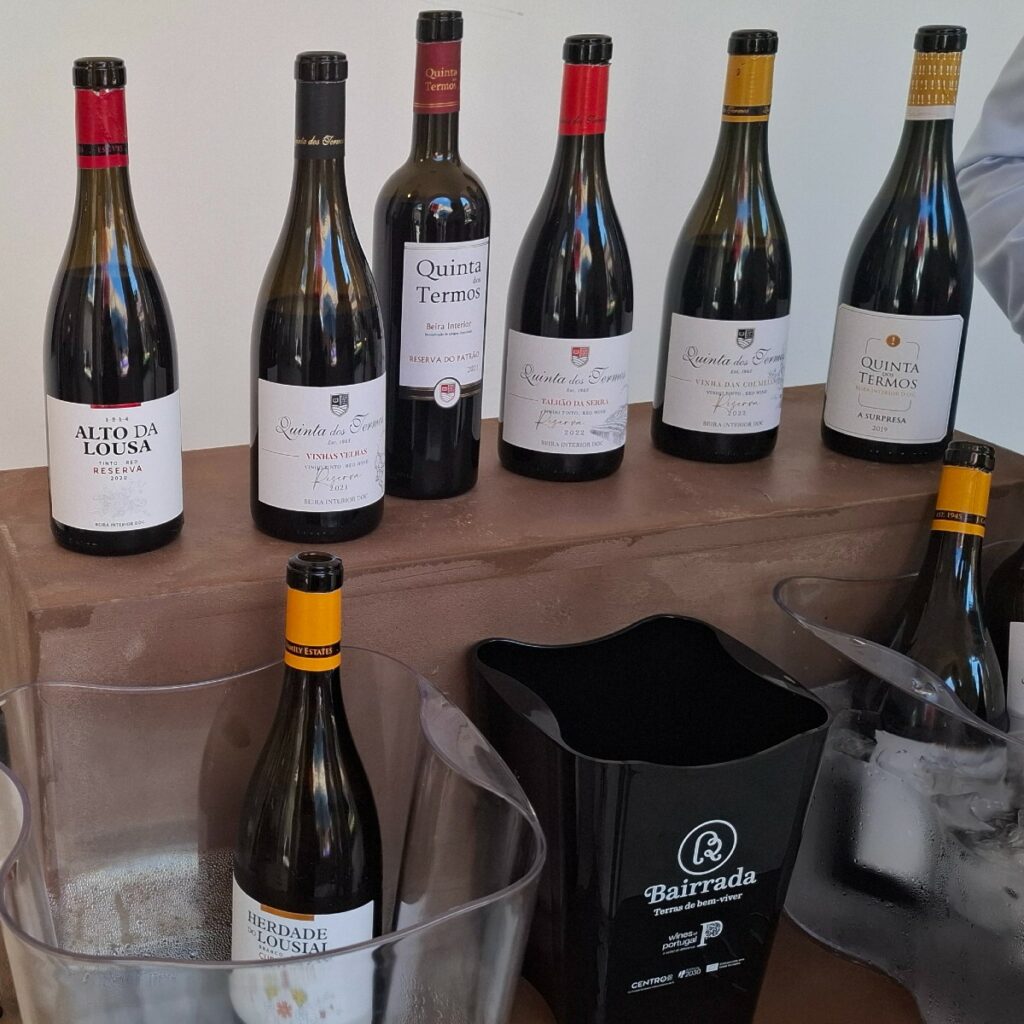 coimbra queijo e vinho produtores 13 3