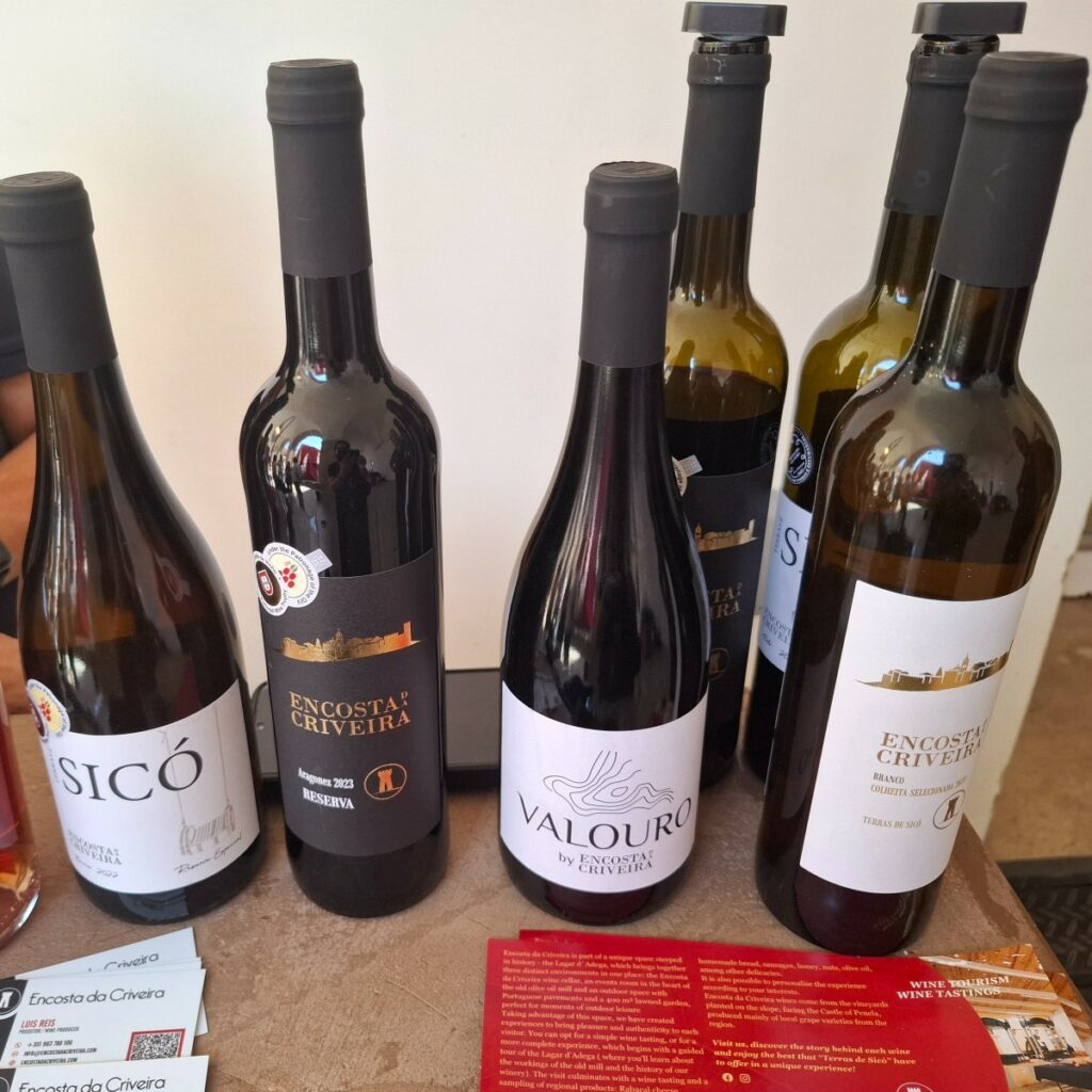 coimbra queijo e vinho produtores 16 3