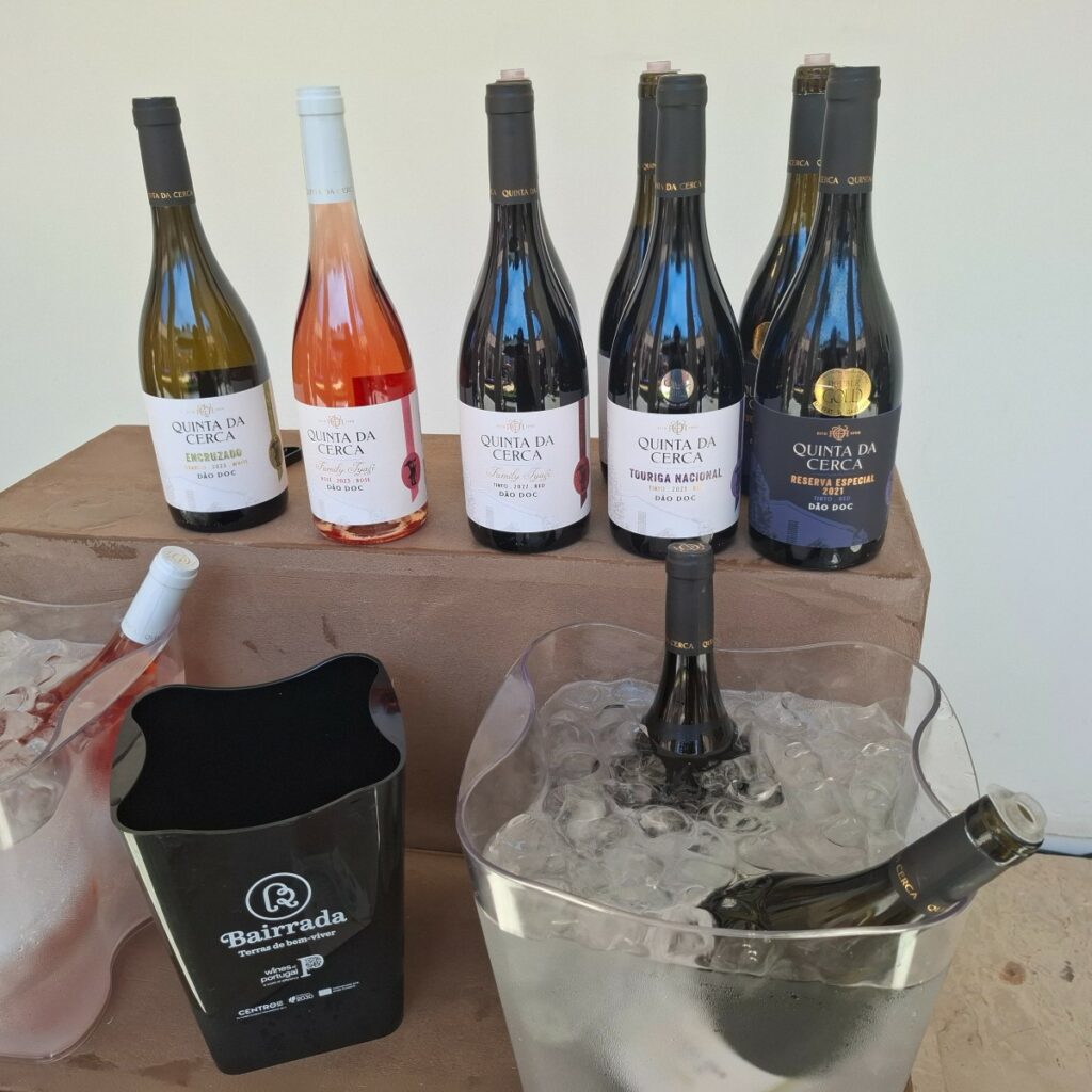 coimbra queijo e vinho produtores 20