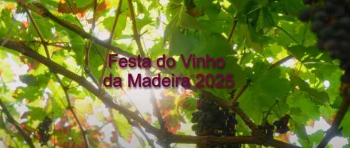 festa do vinho da madeira 2025