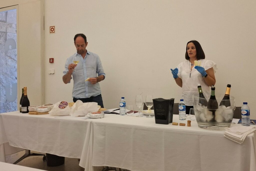 prove vinho e queijo coimbra master