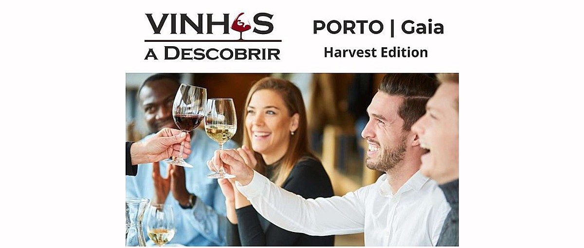 vinhos a descobrir vila nova de gaia 4 5 oct 2025 1