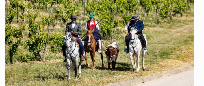 prova premium na quinta do sampayo 2025