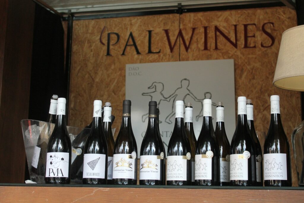 feira do vinho do dao em nelas 2025 palwines