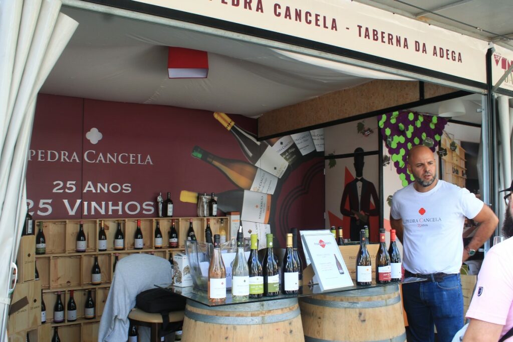 feira do vinho do dao em nelas 2025 pedra cansela