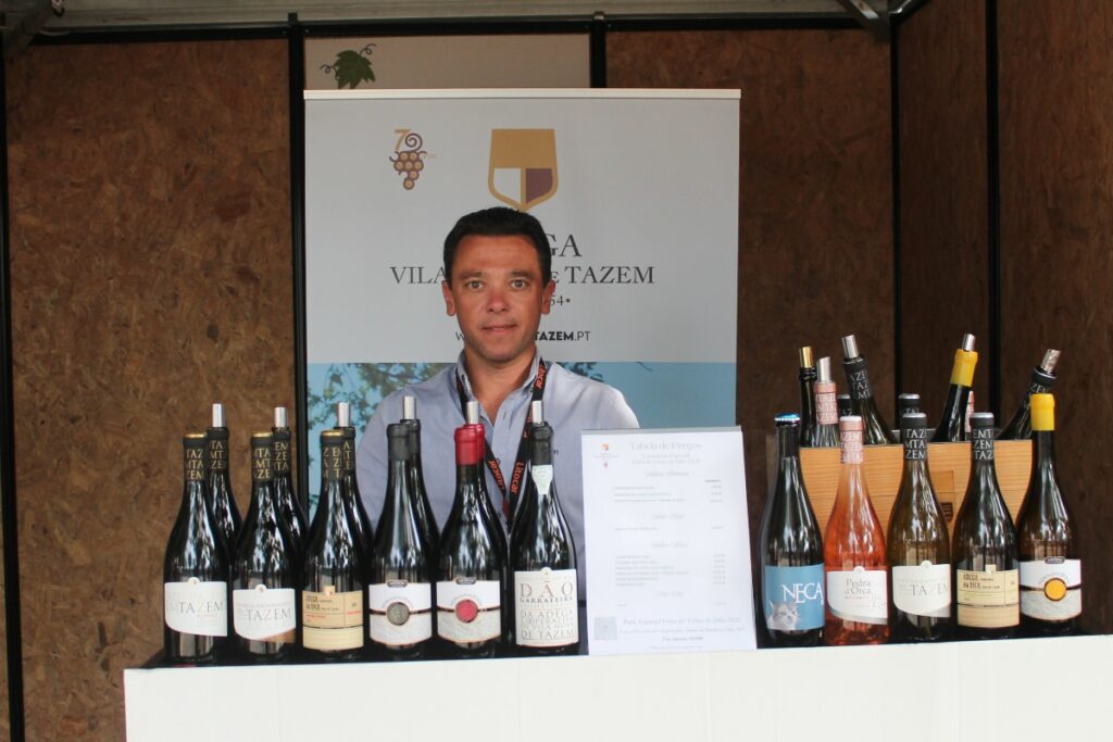 feira do vinho do dao em nelas 2025 tazem
