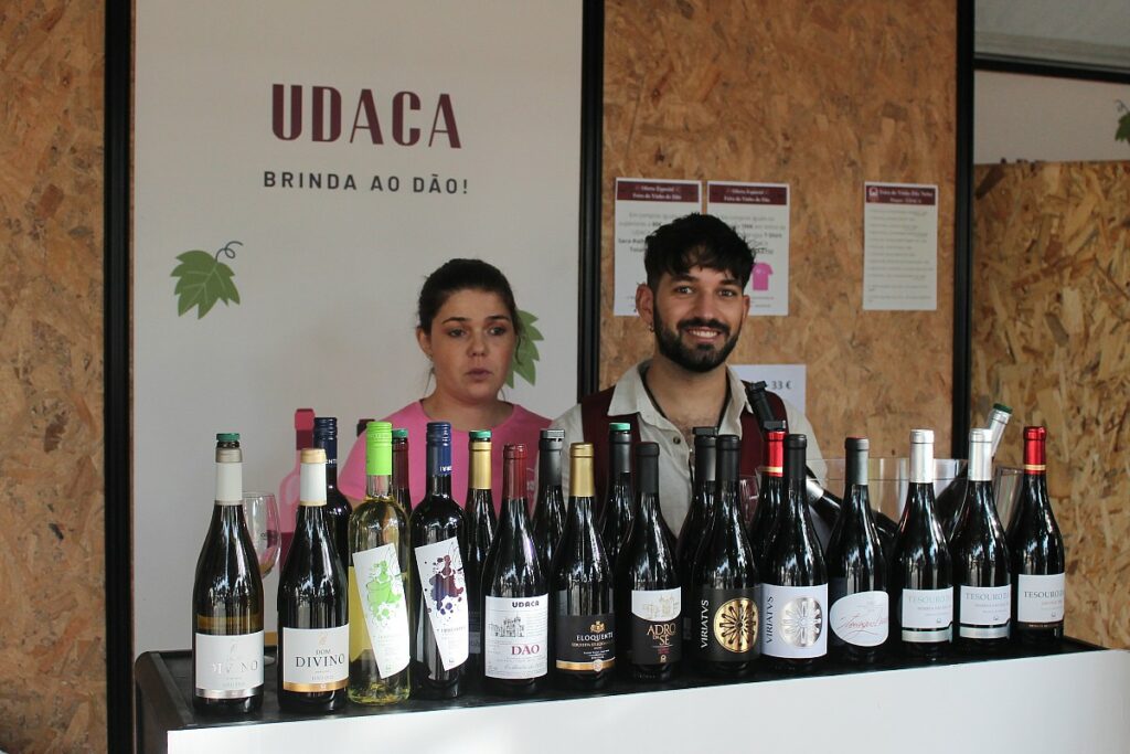 feira do vinho do dao em nelas 2025 udaca