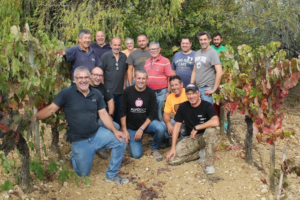 vindima bairrada baga todo gente