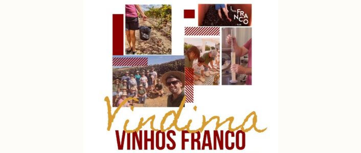 vindima vinhos franco 2025