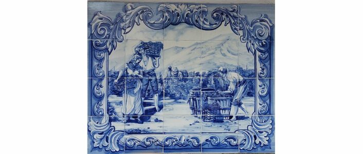 azulejo vinho