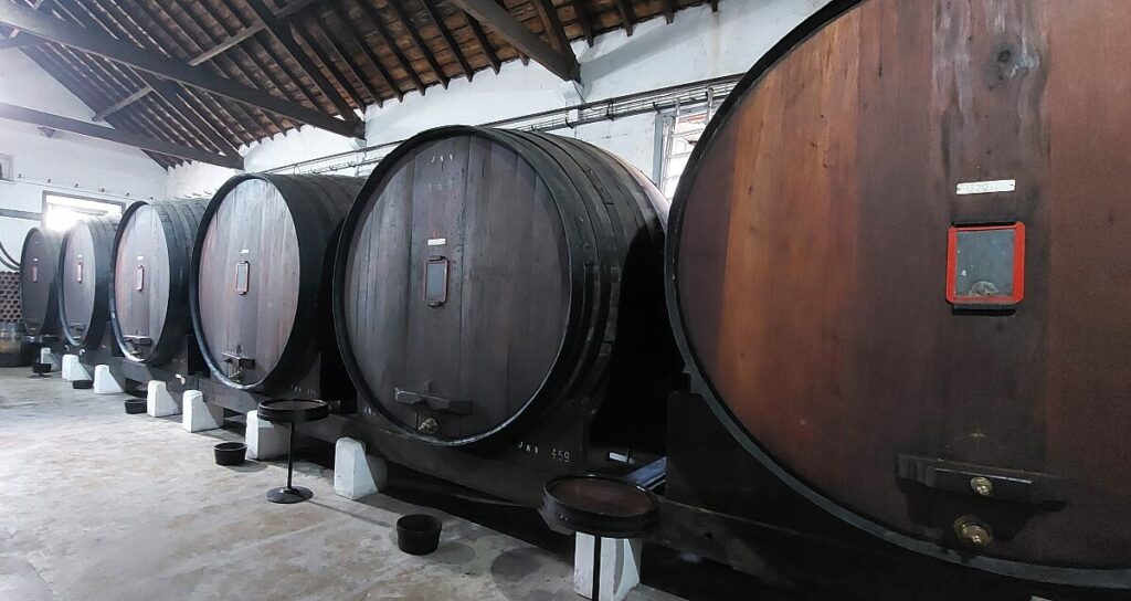 pipas vinho
