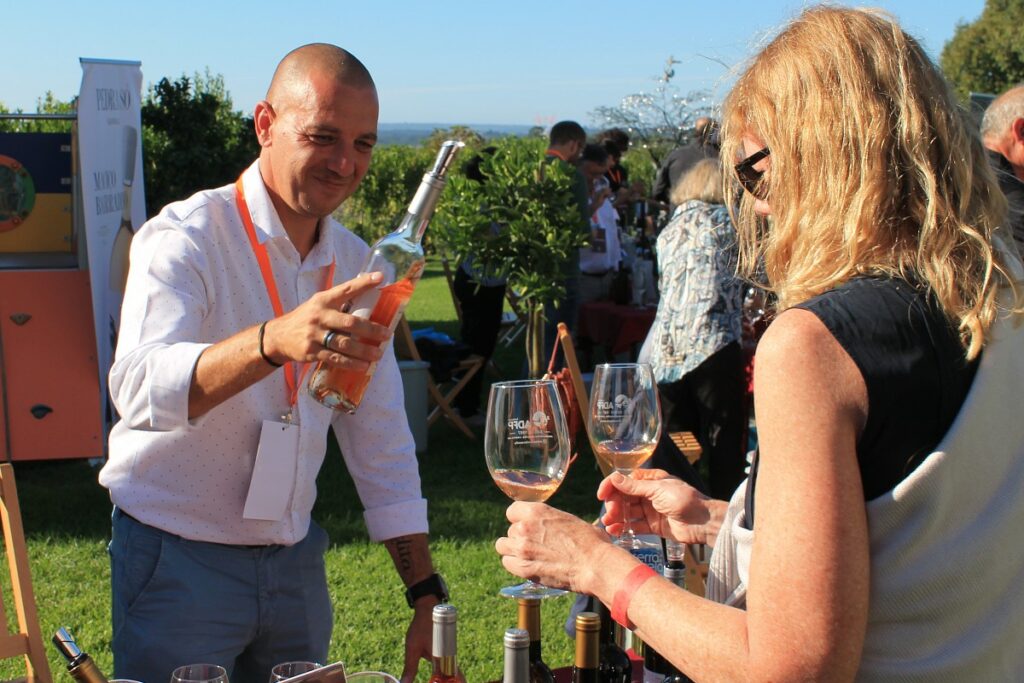 winefest condeixa 2025 prova