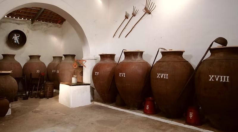 Vinho de Talha e Vinho da Ânfora em Portugal 6 adega vinho de talha