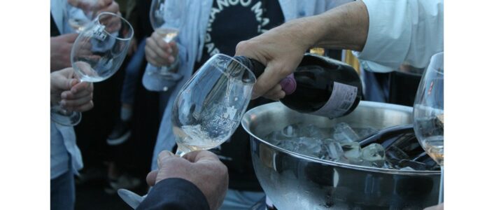 espumante concurso bairrada