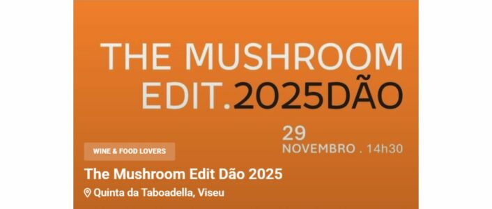 mushroom 2025 dao