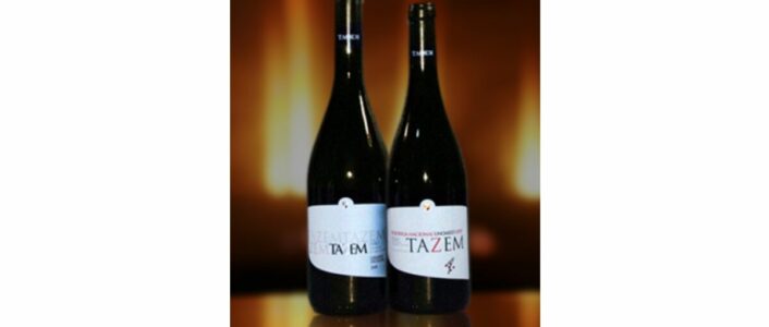 open day 2025 adega vila nova de tazem