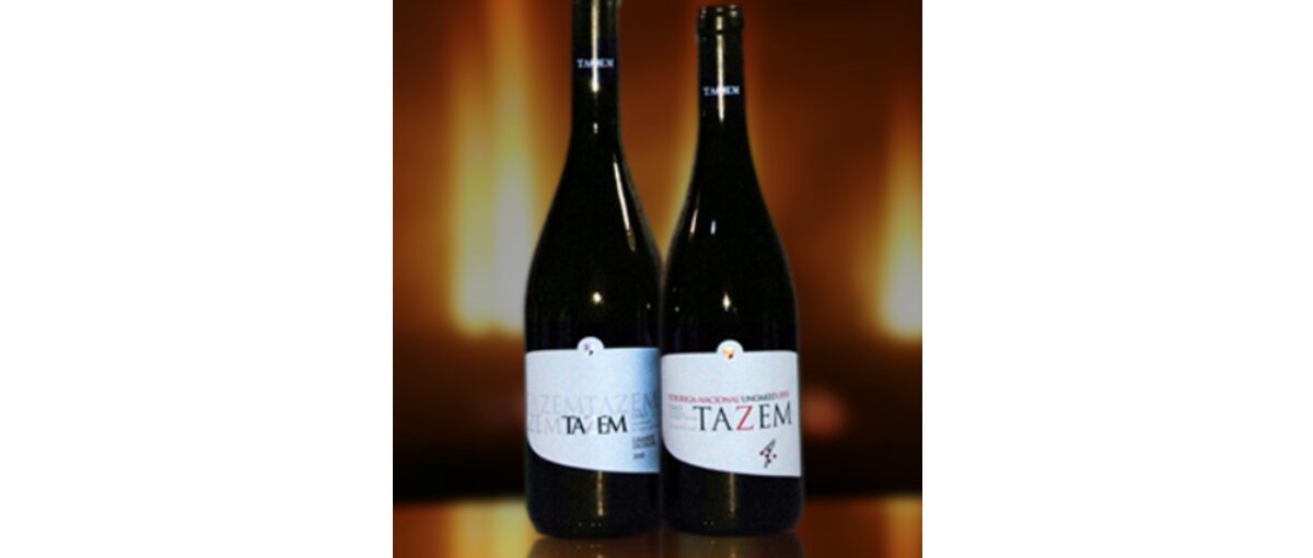 open day 2025 adega vila nova de tazem