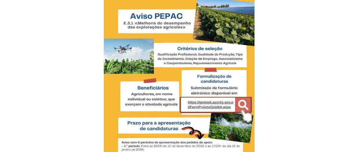 pepac 16122025