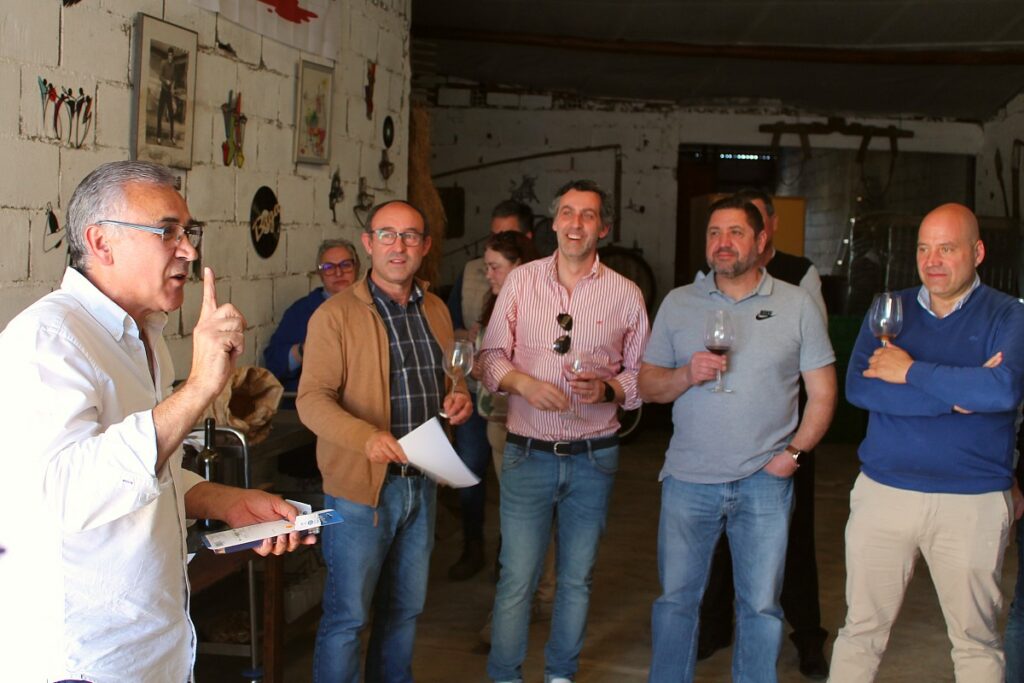 festa adega irmaos pereira 2026 prova