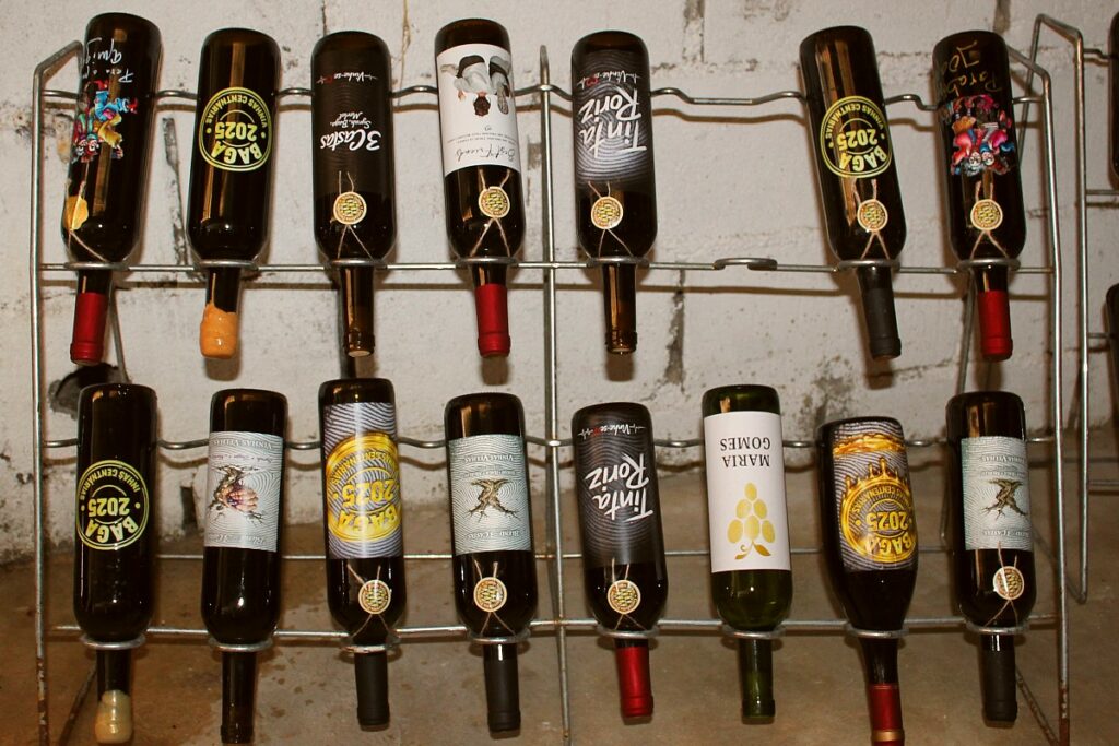 festa adega irmaos pereira 2026 vinho