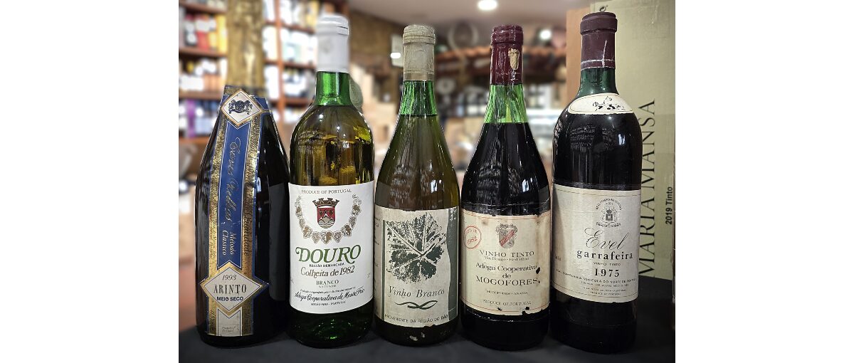 garrafeira agrovinhos prova vinhos 1