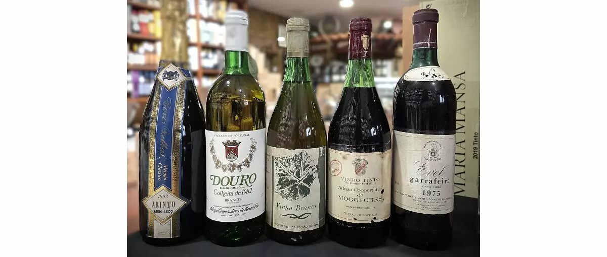 garrafeira agrovinhos prova vinhos 1