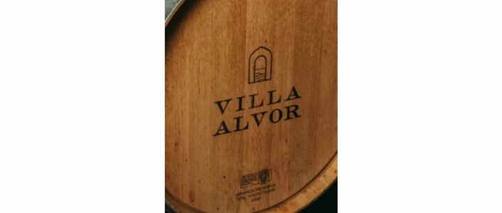 cinema nas vinhas villa alvor 2026 1