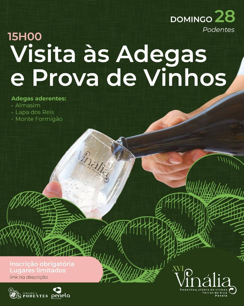 vinalia provas 2026