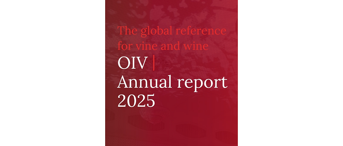 Exportacao vinho OIV