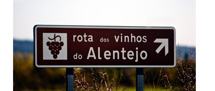 Participe no Programa de Vindimas no Enoturismo Cartuxa 2026 em Évora