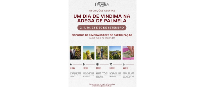 Um dia vindima na adega de palmela 2026