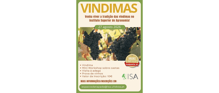 O Instituto Superior de Agronomia promove a iniciativa É Tempo de Vindimas a 27 de agosto de 2026. Apanha de uva e visita à adega no centro de Lisboa.