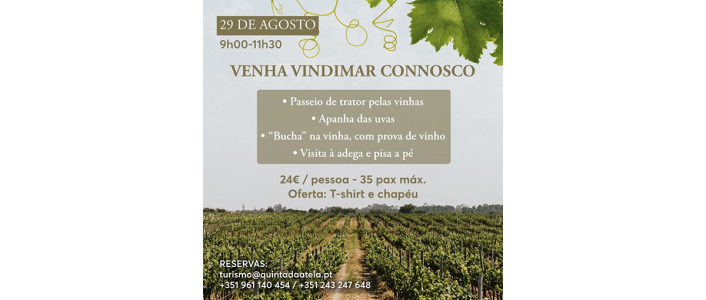 Programa completo de vindima na Quinta da Atela em Alpiarça no dia 29 de agosto de 2026. Inclui passeio de trator, apanha de uvas, bucha ribatejana e pisa a pé.